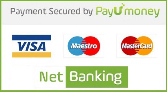 payu money secure transaction