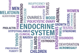thyroid, endocrine, diabetes-1405039.jpg